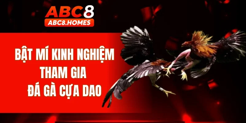 Bật mí kinh nghiệm tham gia đá gà cựa dao
