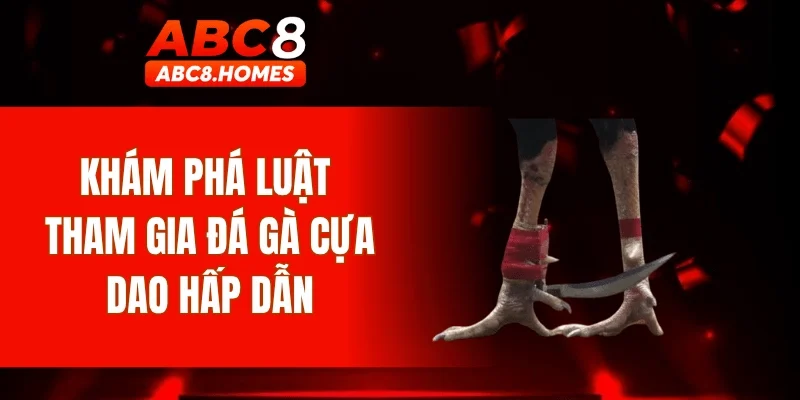 Khám phá luật tham gia đá gà cựa dao hấp dẫn