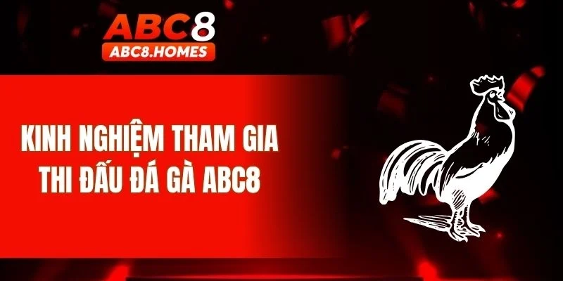 Kinh nghiệm tham gia thi đấu đá gà ABC8