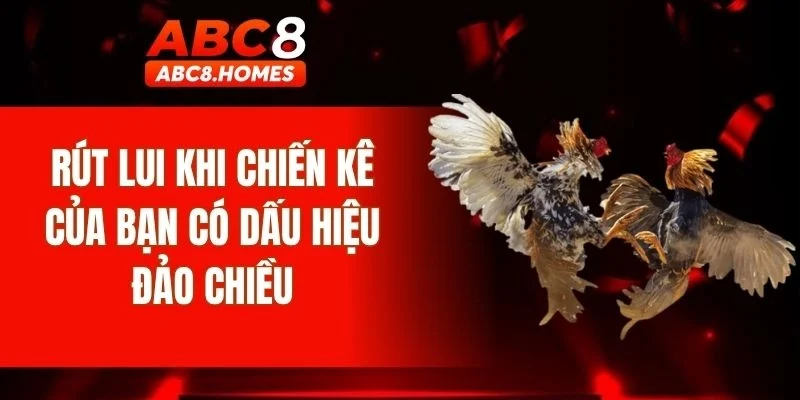 Rút lui khi chiến kê của bạn có dấu hiệu đảo chiều