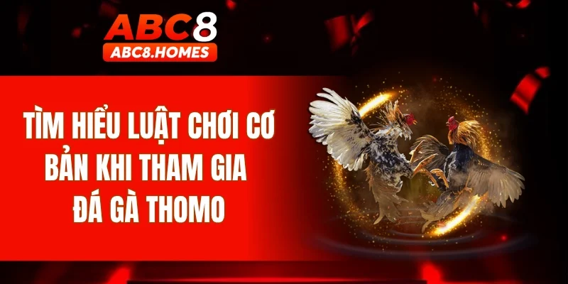 Tìm hiểu luật chơi cơ bản khi tham gia đá gà Thomo