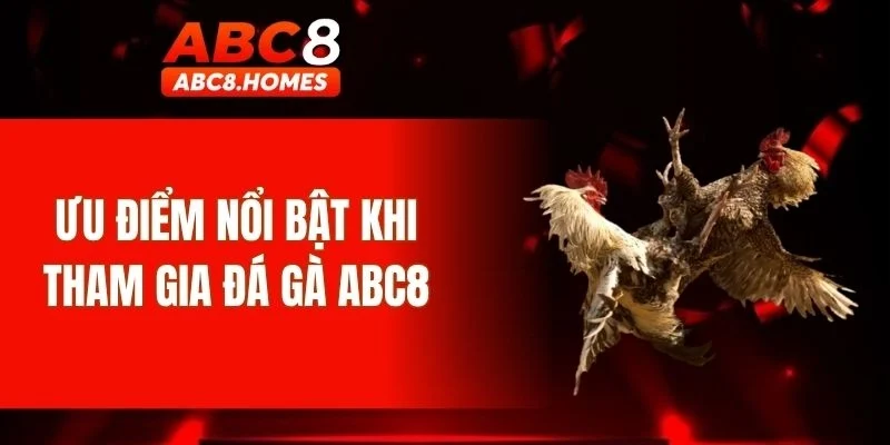 Ưu điểm nổi bật khi tham gia đá gà ABC8