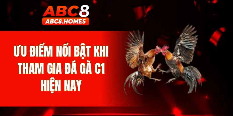 Ưu điểm nổi bật khi tham gia đá gà C1 hiện nay